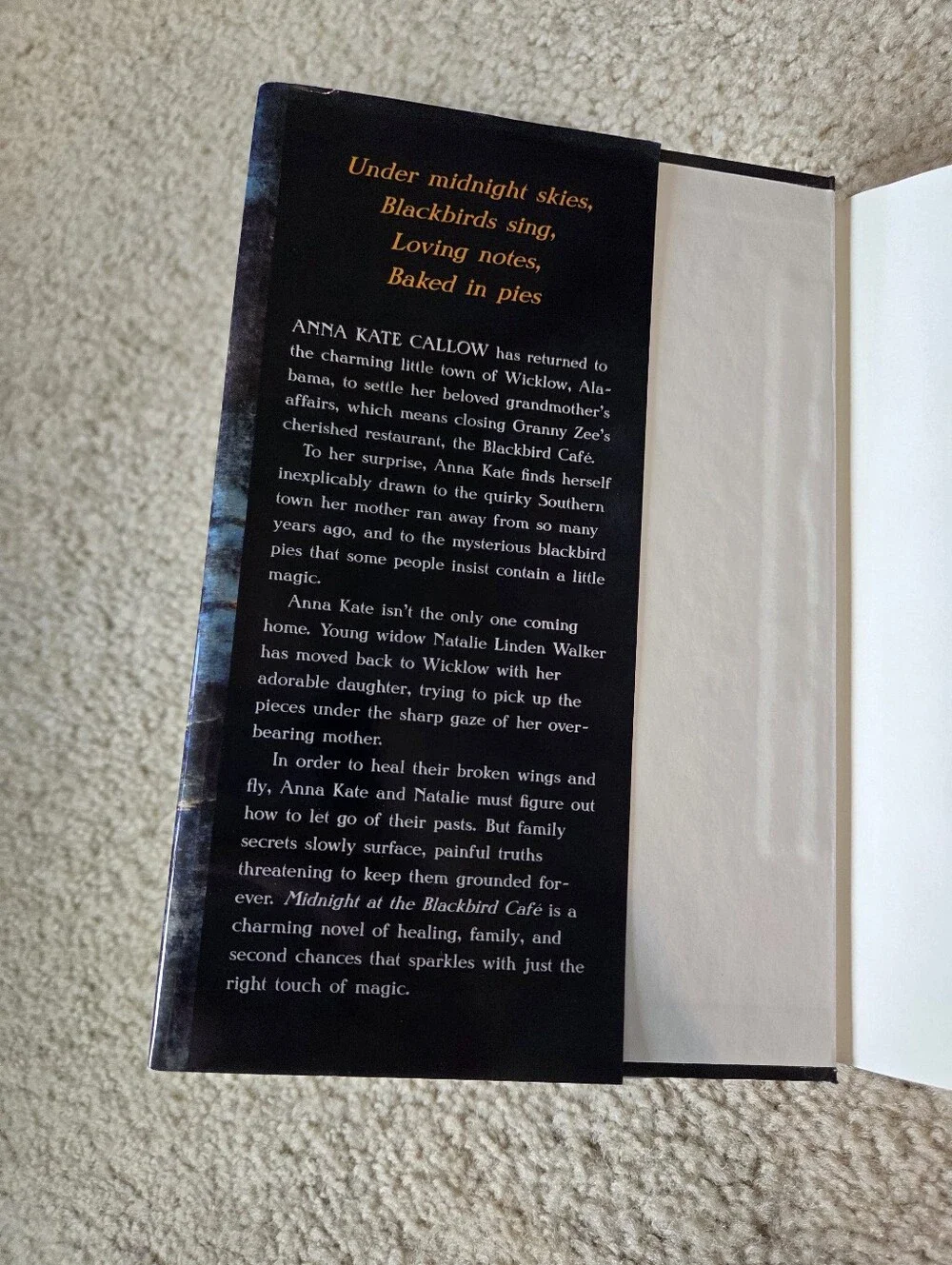 Contemporary Fiction 2 Book Bundle (Hardcover)